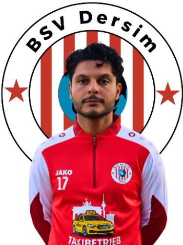 Sercan-Günay Seyyidoglu