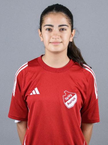 Beritan Demir
