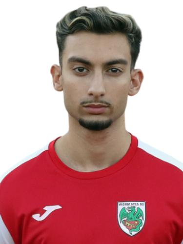 Nenad Julien Jasarevic