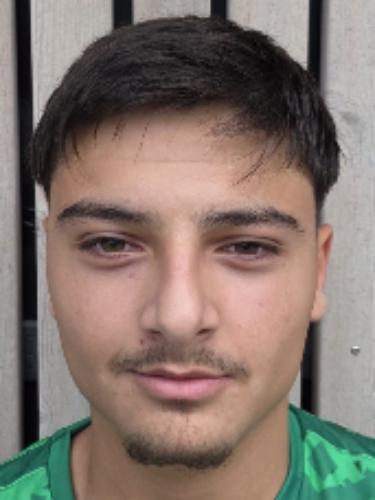 Emre Yalin Yetisen