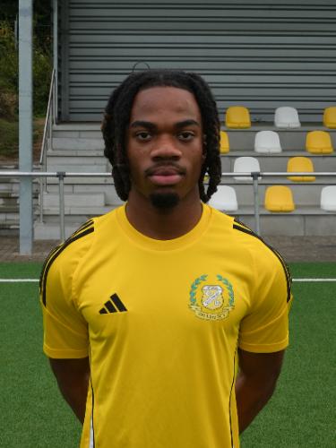 Cedric Leroy Gbedjagni