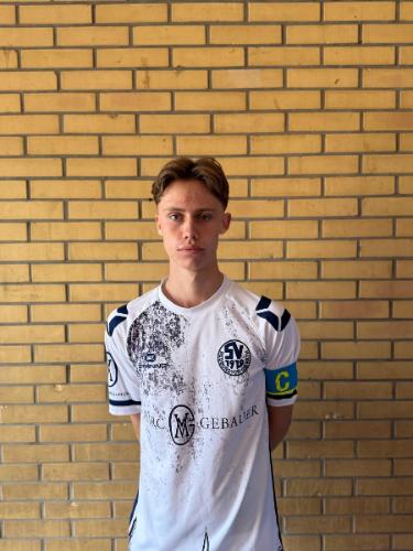 Henri Johann Jakob Sautner