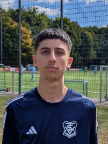 Tolga Erdemir