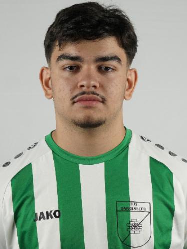 Taleh Mammadov