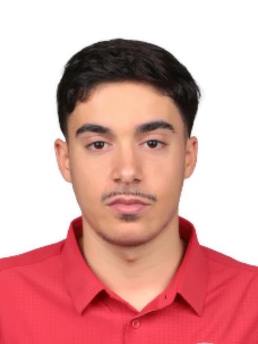 Mahdi Soueidan