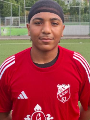 Issa Alwerfi