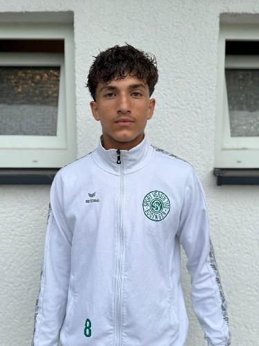 Ayman Ali Ibrahim Ali Badr