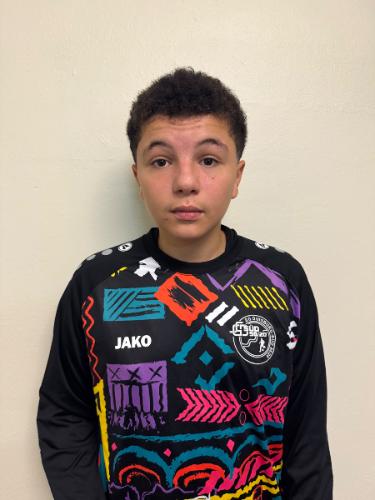 Mohammed Anis Ghanoun