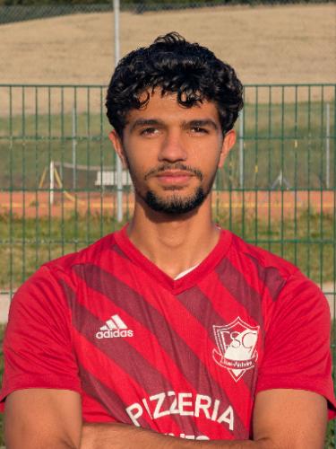 Mahmoud Alhaj Othman Alfares