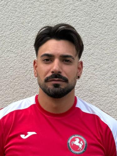 Mustafa Ileri