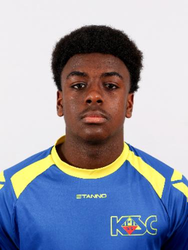 Trenton Louis Johnson