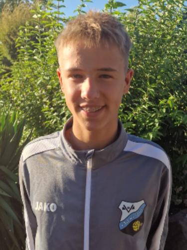 Levin Wilden