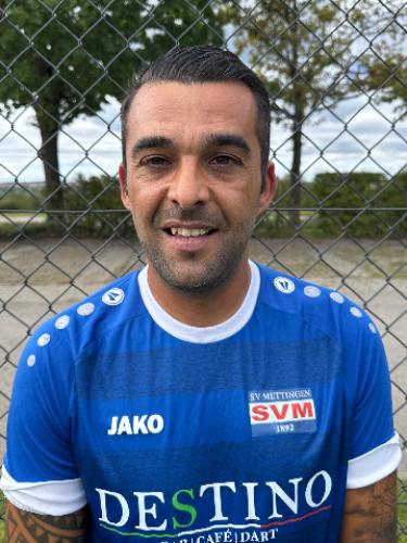 Henrique Domingos Ferreira da Silva