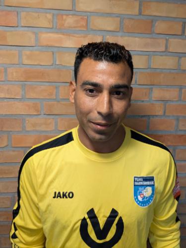 Mohamed Ahmed Mohamed Mahmoud