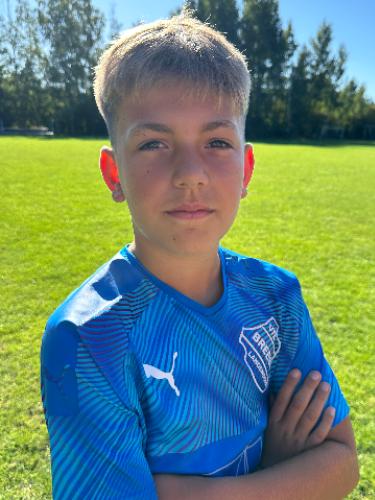 Fiete Johann Dominik