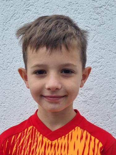 Milutin Pasic