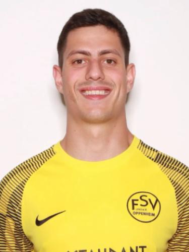 Paul Friedrich Heise