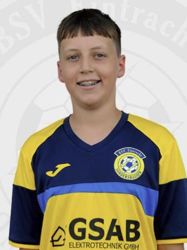 Elias-Lothar Holzapfel