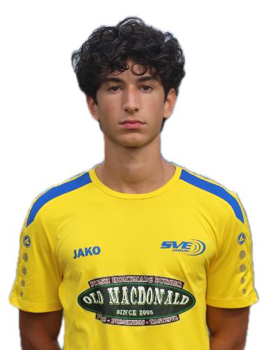 Ege Terzi