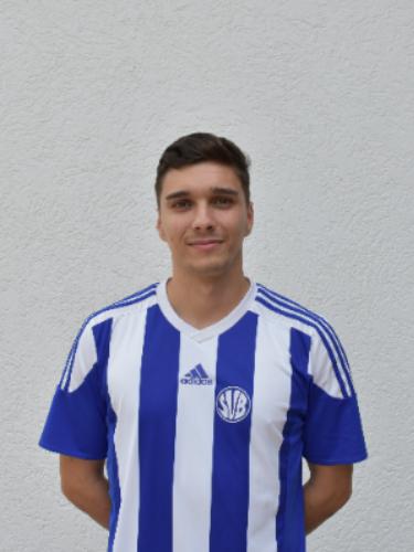 Daniel Alexandru Nedelcia