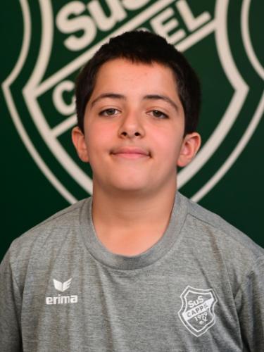 Mohamad Ali Alawieh