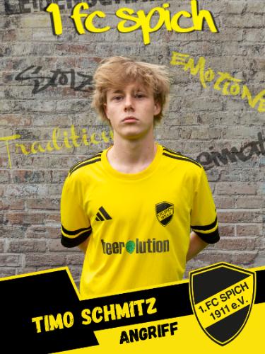 Timo Schmitz