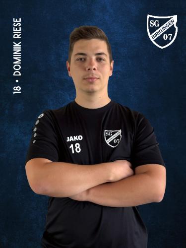 Dominik Riese