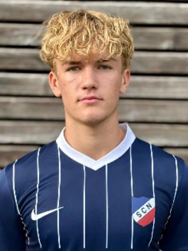 Niklas Georg Welsch