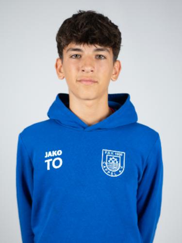 Theo Ott