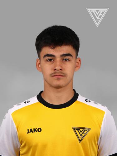 Hikmet Tarik Tastan