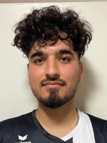 Mohammad Aminzadeh