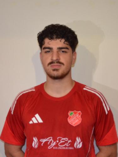 Alpay Hilmi Yigit
