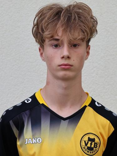 Henrie Johann Vieg