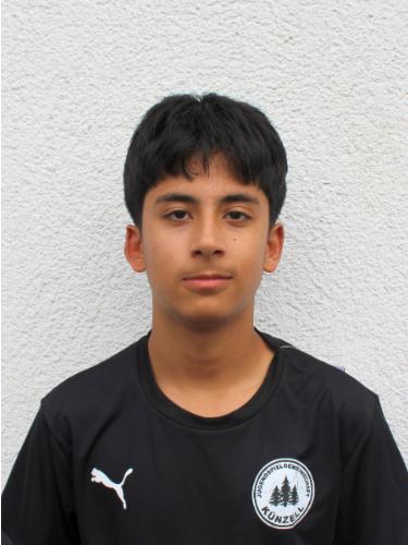 Parsa Arab