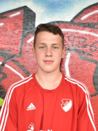 Ole Johannes Vollmer