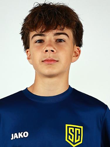 Leo Aaron Stüve