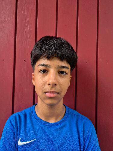 Sahil Qarizada