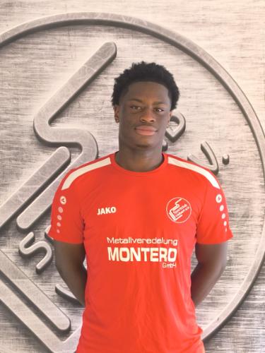 Davison Chukwuyem Onyeche