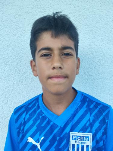 Shahin Shamsaldini