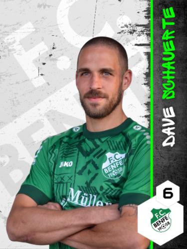 Dave Robin Schauerte