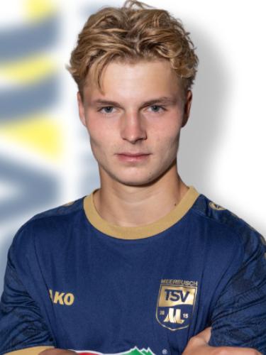 Gustav Johan Novoszel