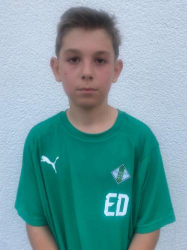 Edin Dogic