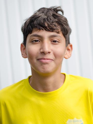 Mohamad Heshmeh