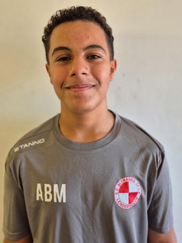 Adem Ben Meddeb