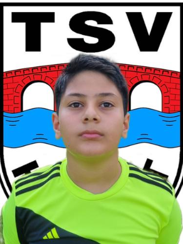 Mustafa Vural