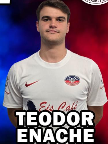Teodor Stefan Enache