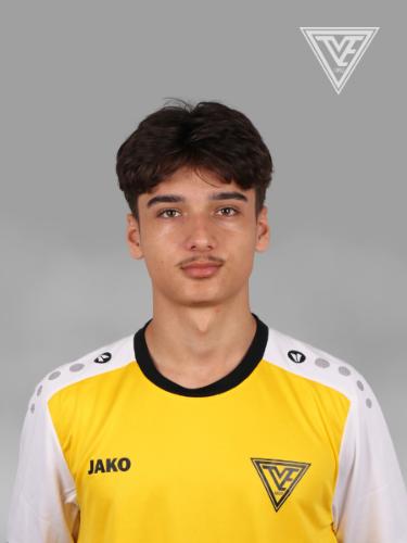 Nico Mesgari