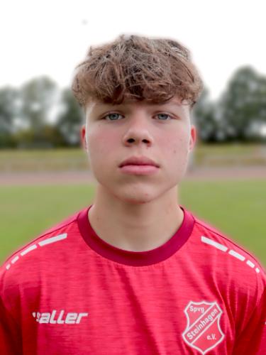 Mica Danijel Njaradi