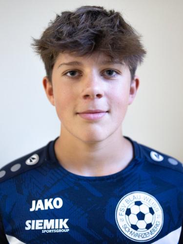 Hugo-Emilio Fritze