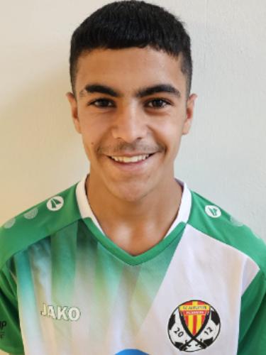 Ahmed Alsayed Mahmoud